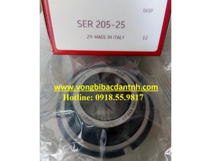 BẠC ĐẠN SER205-25